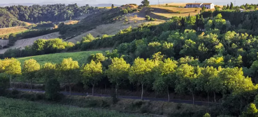 Pyxis Conseil Lauragais​